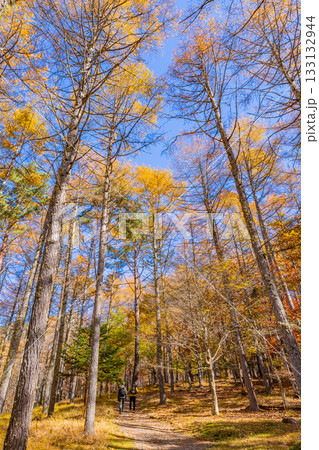 【山梨県】紅葉が美しい、ボルダリングの聖地・瑞牆山（みずがき山）の山中　秋　 133132944