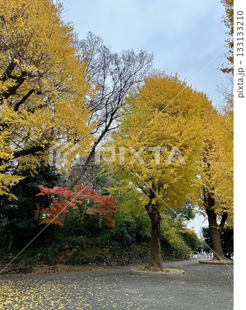 上野公園 台東区 133133210