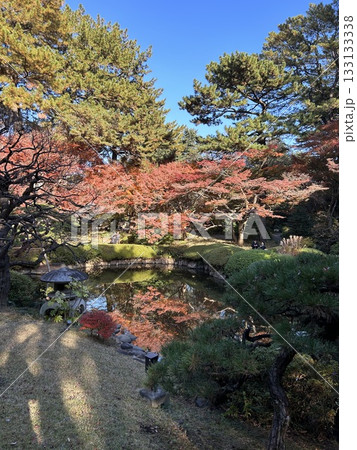 東京タワー 港区 東京タワー 港区 133133338