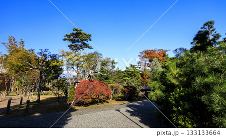 秋の明治記念大磯庭園 133133664