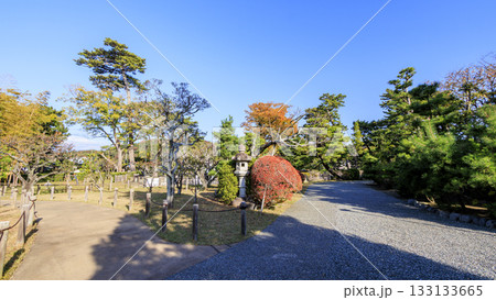 秋の明治記念大磯庭園 133133665