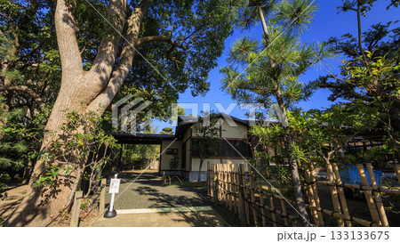 秋の明治記念大磯庭園 133133675