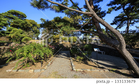 秋の明治記念大磯庭園 秋の明治記念大磯庭園 133133679
