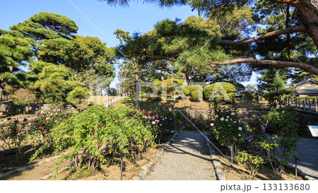 秋の明治記念大磯庭園 秋の明治記念大磯庭園 133133680