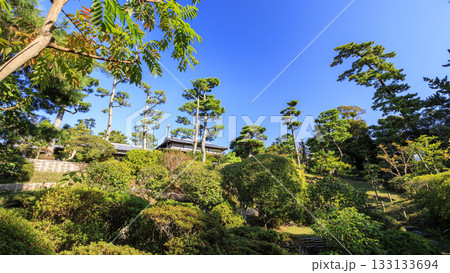 秋の明治記念大磯庭園 133133694