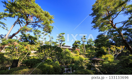 秋の明治記念大磯庭園 133133696