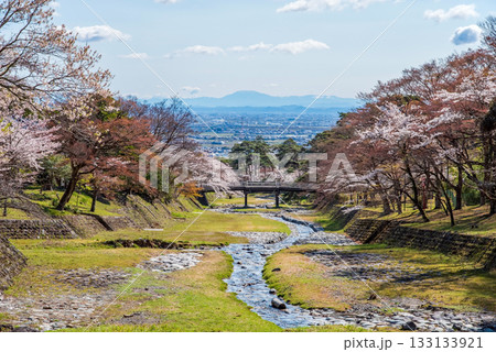 養老公園の桜《岐阜県 養老郡 養老町》 養老公園の桜《岐阜県 養老郡 養老町》 133133921
