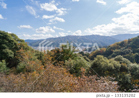 滝上山の中央休憩所から見た景色（丹後天橋立大江山国定公） 133135202