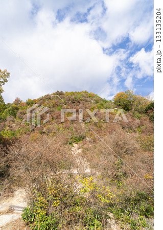 中央休憩所から見た滝上山（丹後天橋立大江山国定公） 133135204