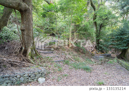 滝上山の登山口（丹後天橋立大江山国定公） 133135214