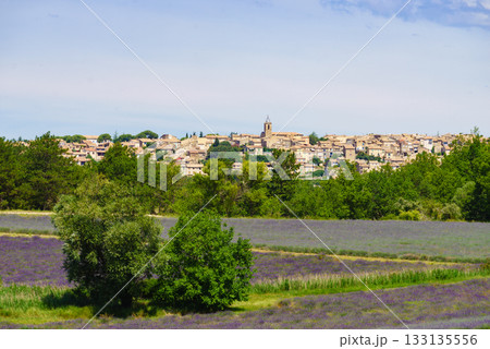 Hilltop Puimoisson village, Provence France 133135556