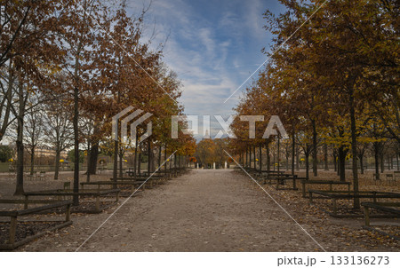 Luxembourg Gardens Park in Paris with autumn colors Luxembourg Gardens Park in Paris with autumn colors 133136273