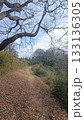 冬、葉の落ちた枝をくぐる枯れ葉の峠の小道	 133136305