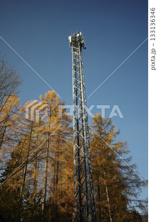Telecommunication Tower Against Blue Sky with Autumn Trees 133136346