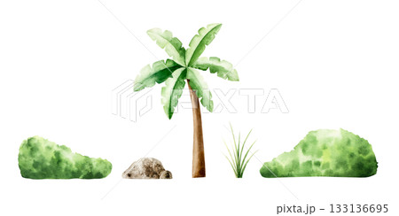 Grass, bush, palm and stone. Watercolor hand drawn rock and tropical plant. Isolated botanical illustration on transparent background. Perfect for tropical design projects. For designers, invitations 133136695