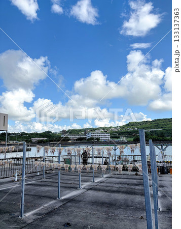 晴れた日の港でイカ干し 晴れた日の港でイカ干し 133137363