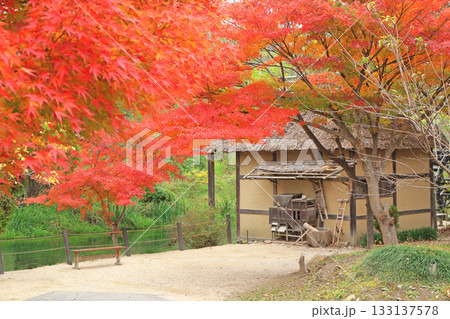 秋の安曇野　大王わさび農場の水車小屋 133137578