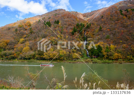 晩秋の最上峡　最上川を回送する舟下り船　白糸の滝　山形県 133137636