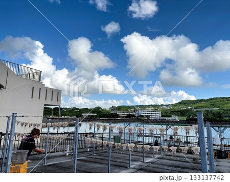 夏の晴れた日の港でイカ天日干し 夏の晴れた日の港でイカ天日干し 133137742