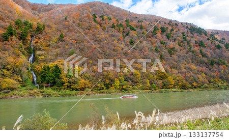 晩秋の最上峡　最上川を回送する舟下り船　白糸の滝　山形県 133137754