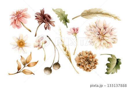 Autumn flowers leaves set. Fall plants Dahlia Chrysanthemum Daisy. Watercolor hand drawn floral illustration isolated on white background for wedding home textile cosmetic package porcelain crockery Autumn flowers leaves set. Fall plants Dahlia Chrysanthemum Daisy. Watercolor hand drawn floral illustration isolated on white background for wedding home textile cosmetic package porcelain crockery 133137888
