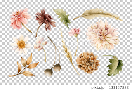 Autumn flowers leaves set. Fall plants Dahlia Chrysanthemum Daisy. Watercolor hand drawn floral illustration isolated on white background for wedding home textile cosmetic package porcelain crockery Autumn flowers leaves set. Fall plants Dahlia Chrysanthemum Daisy. Watercolor hand drawn floral illustration isolated on white background for wedding home textile cosmetic package porcelain crockery 133137888