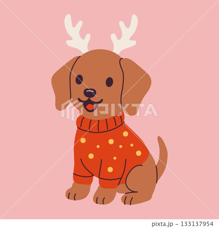 Cute Christmas Dog in Sweater with Reindeer Antlers Cute Christmas Dog in Sweater with Reindeer Antlers 133137954