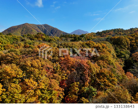 北軽井沢の紅葉 133138643