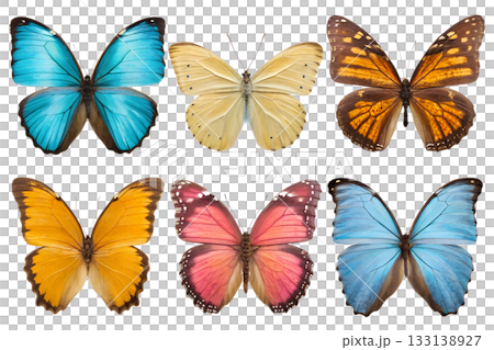 Vibrant collection of colorful butterflies, including monarch and blue morpho species, isolated on transparent background for easy design use Vibrant collection of colorful butterflies, including monarch and blue morpho species, isolated on transparent background for easy design use 133138927