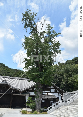 最上稲荷山妙教寺 133139401