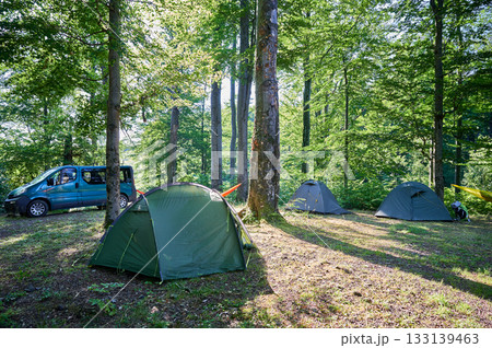 Multiple green tents in wooded campsite, with blue van parked nearby. Sun filters through trees, casting dappled light across serene and inviting campsite. 133139463