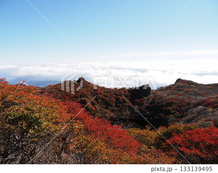 紅葉の大船山 133139495