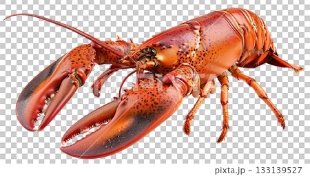 Cooked Lobster isolated on white background png transparent clipart. 133139527