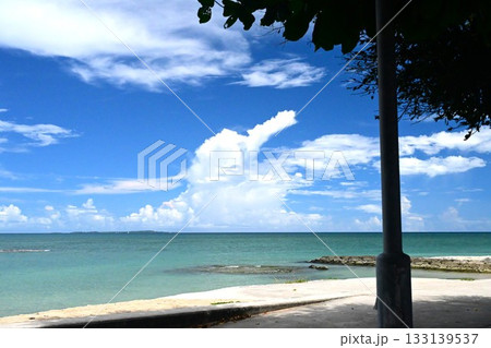 オオハマボウの木陰がある海岸 133139537