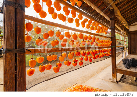 【山梨県】ころ柿の里　ころ柿の天日干し 133139878