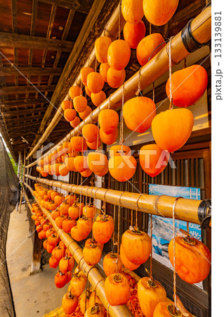 【山梨県】ころ柿の里　ころ柿の天日干し 133139881