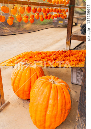 【山梨県】枯露柿の里　ころ柿の天日干しと大きなカボチャ 133139943
