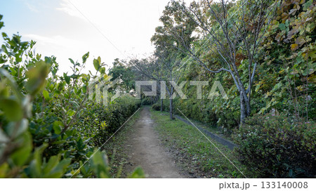みはらし緑地の山道 133140008
