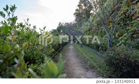 みはらし緑地の山道 133140011