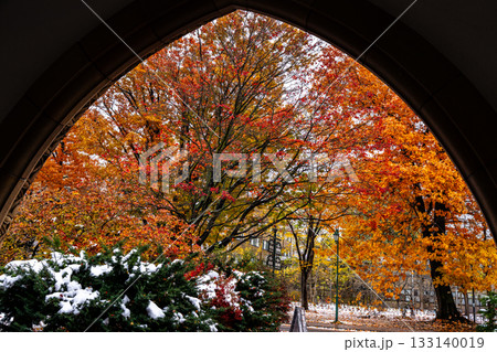 北海道大学の紅葉 133140019