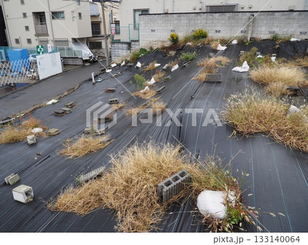 黒い養生シートで覆われ、雑草が茂る住宅地の斜面 133140064