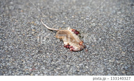 ねずみの轢死体 ねずみの轢死体 133140327