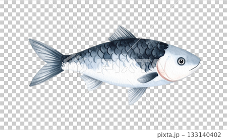 魚の水彩イラスト素材 133140402