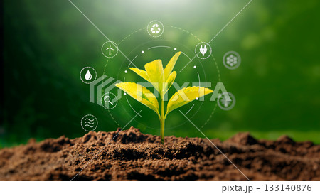 Green growing plant, ecology concept 133140876
