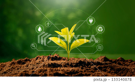 Green growing plant, ecology concept 133140878