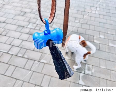 Pet Excrement Bags on a Leash. High quality photo 133141507