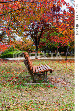 秋の公園の紅葉と木製ベンチの風景 Autumn Foliage and Wooden Bench i 133141540