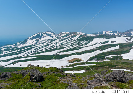 大雪山白雲岳のゼブラ模様の雪形 133141551