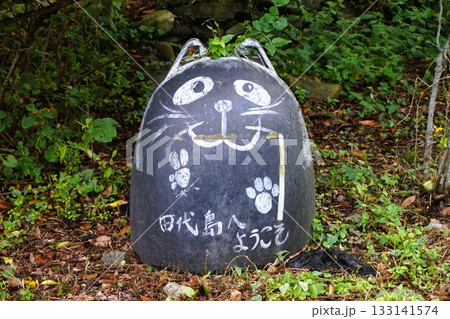 田代島　猫の島　ネコ 133141574