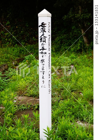 田代島　猫の島　ネコ　世界人類が平和でありますように　 133141831